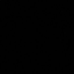 Meet your Posher, Stefanie